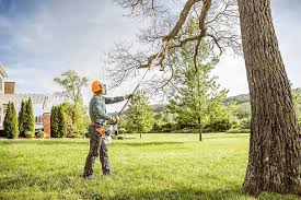 Best Lot and Land Clearing  in Marina Del Rey, CA